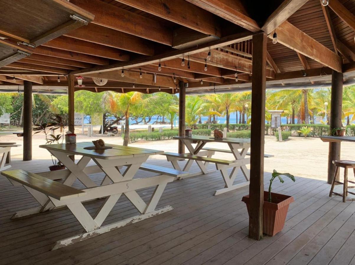 Sea Eye Hotel - Laguna Building Utila Dış mekan fotoğraf