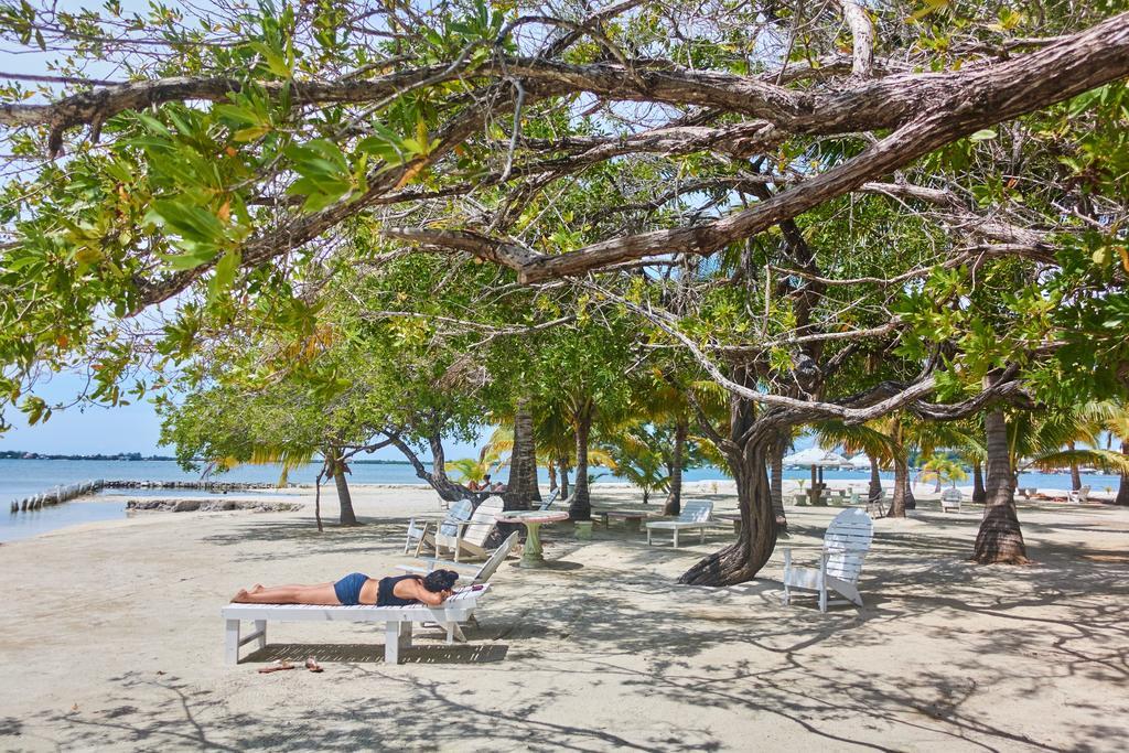 Sea Eye Hotel - Laguna Building Utila Dış mekan fotoğraf