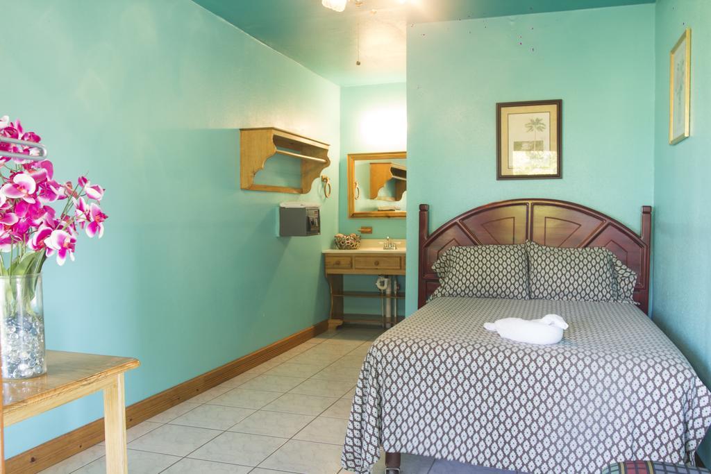 Sea Eye Hotel - Laguna Building Utila Dış mekan fotoğraf